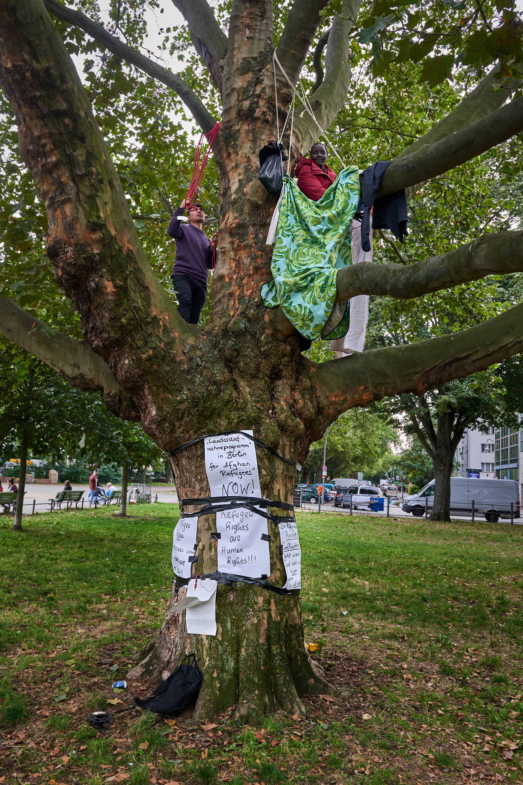 M20210828D_Womenonthetree0007